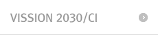 VISSION 2030/CI