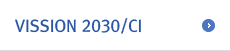 VISSION 2030/CI